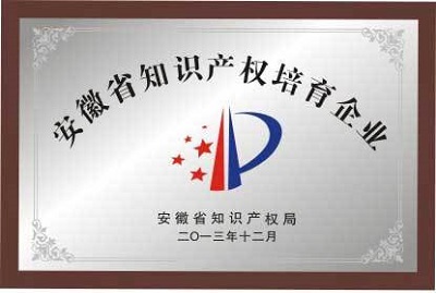 2013年12月 安徽省知識產權培育企業(yè).jpg